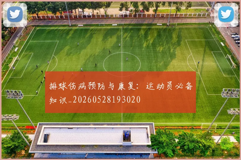 排球伤病预防与康复：运动员必备知识_20260528193020